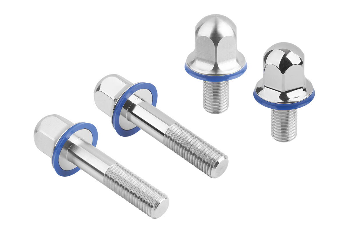 Custom Hygienic Bolts