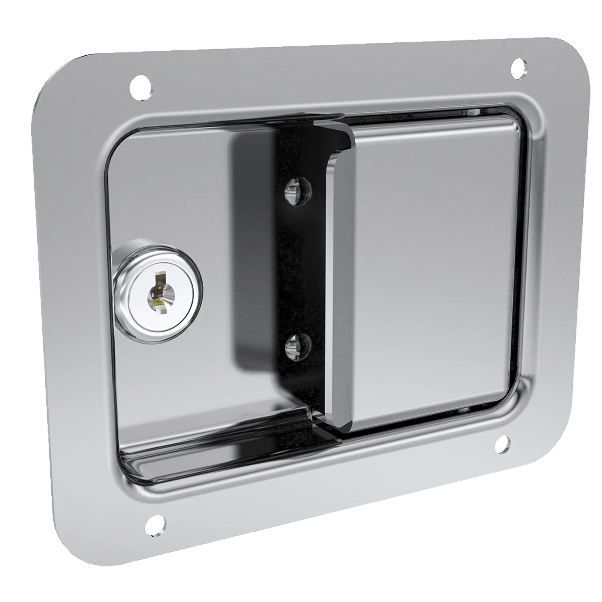 Stainless Steel Paddle Latch