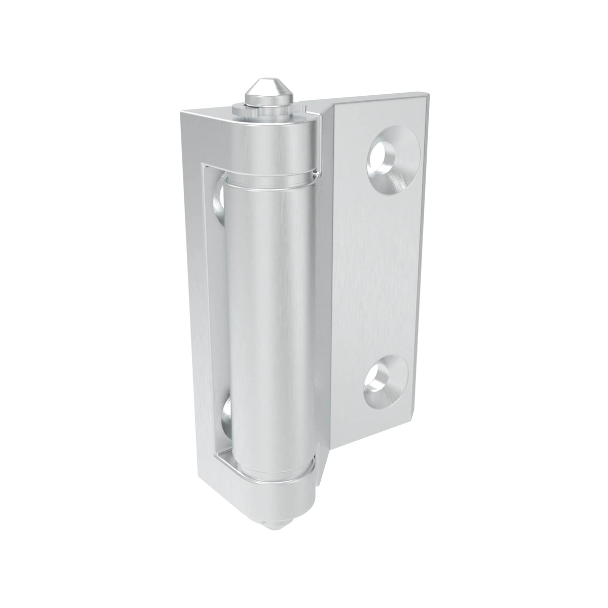 Surface Mount Hinges